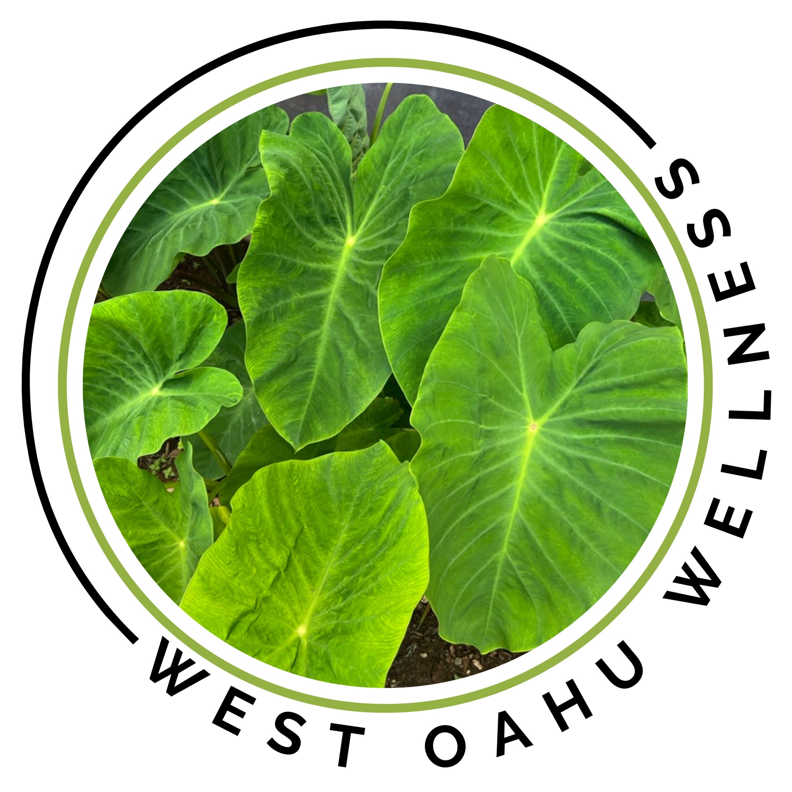 Circular logo with green elephant ear leaves and the words KELLY WEST OAHU around the edge